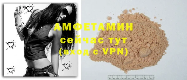 индика Горняк