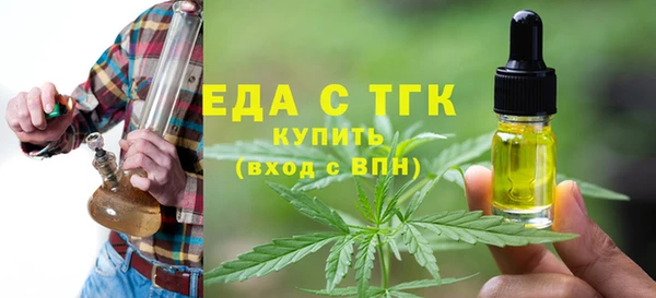 индика Горняк
