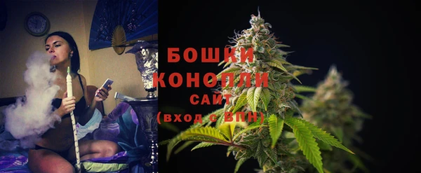 индика Горняк