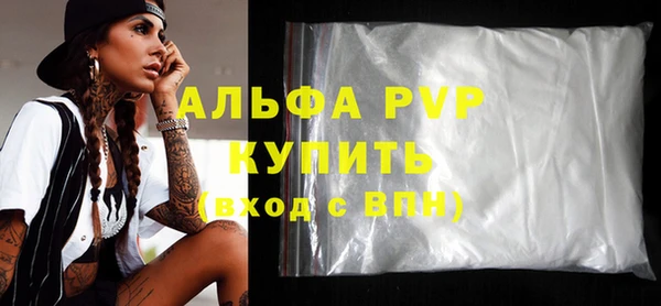 индика Горняк