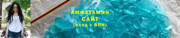 индика Горняк
