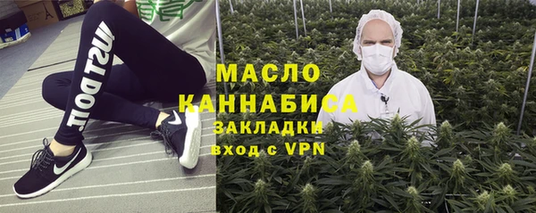 эйфоретик Гусь-Хрустальный