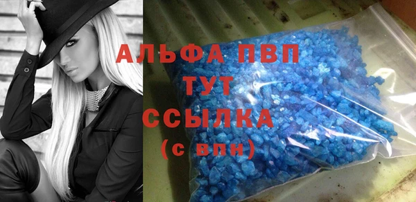 индика Горняк