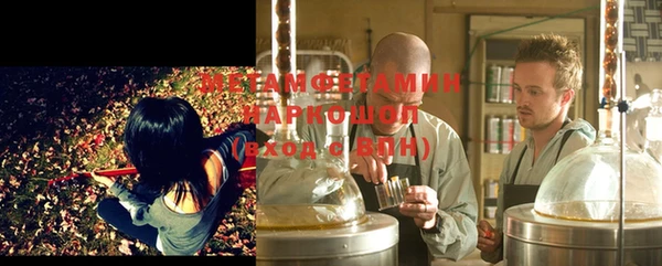 индика Горняк