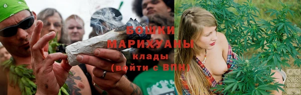 индика Горняк
