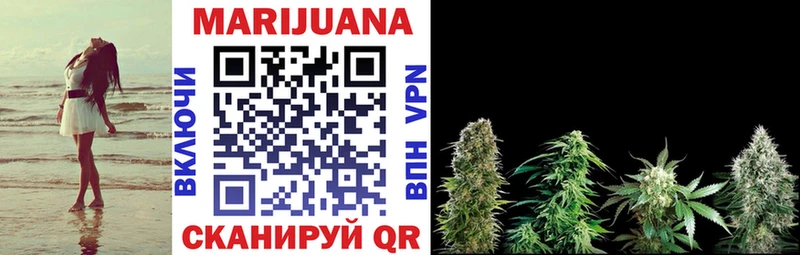 Бошки марихуана LSD WEED  где найти наркотики  Ершов 